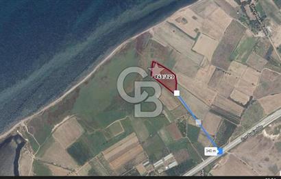 ÇANAKKALE LAPSEKİ ÇARDAK 9410 M2 SATILIK ARAZİ DENİZE 140 M.