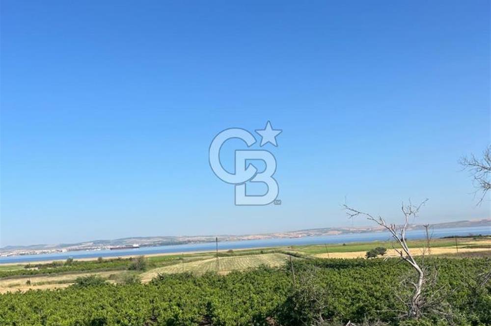 ÇANAKKALE LAPSEKİ ÇARDAK 9410 M2 SATILIK ARAZİ DENİZE 140 M.