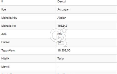 Acıpayam Akalan'da 10368 M² Satılık Tarla