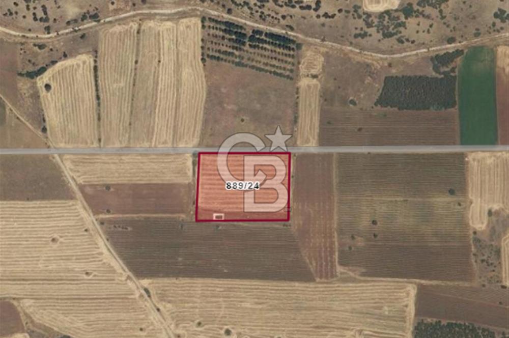 Acıpayam Akalan'da 10368 M² Satılık Tarla
