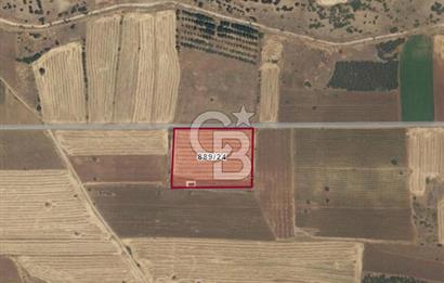 Acıpayam Akalan'da 10368 M² Satılık Tarla