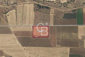 Acıpayam Akalan'da 10368 M² Satılık Tarla