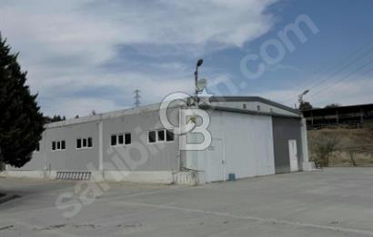 Goncalı'da 550 M² Kiralık Depo ALanı