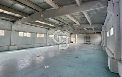 Goncalı'da 550 M² Kiralık Depo ALanı