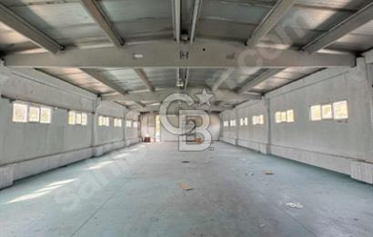 Goncalı'da 550 M² Kiralık Depo ALanı