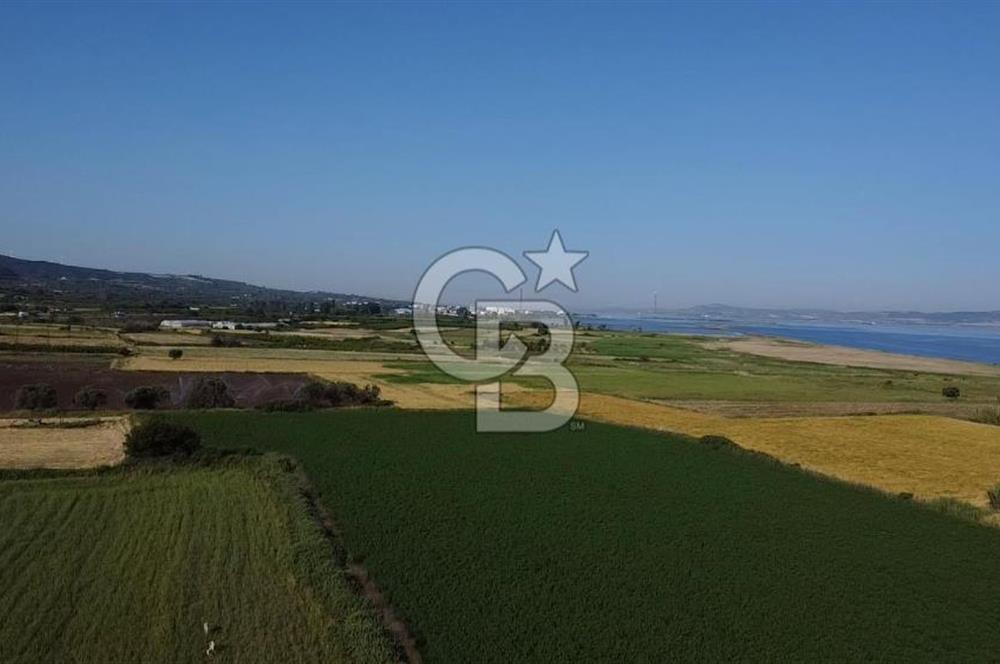 ÇANAKKALE LAPSEKİ ÇARDAK 9410 M2 SATILIK ARAZİ DENİZE 140 M.