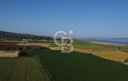 ÇANAKKALE LAPSEKİ ÇARDAK 9410 M2 SATILIK ARAZİ DENİZE 140 M.