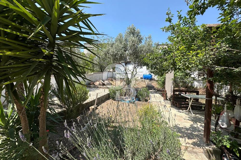 İzmir Bornova Atatürk Mahallesinde Satılık Bakımlı Daire