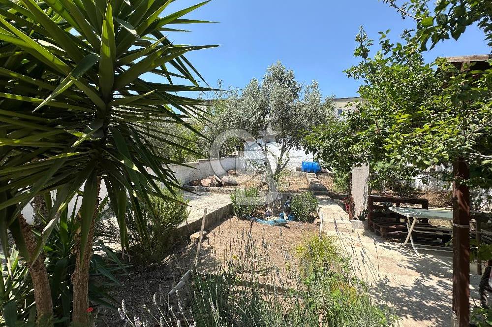 İzmir Bornova Atatürk Mahallesinde Satılık Bakımlı Daire