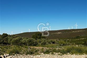 KARABURUN EĞLENHOCA'DA 7.910 m2 ZEYTİN AĞAÇLI SATILIK ARAZİ