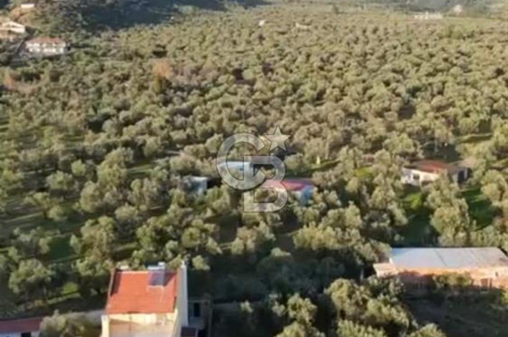 KIZILKEÇİLİ VİLLA İMARLI SATILIK ARSA