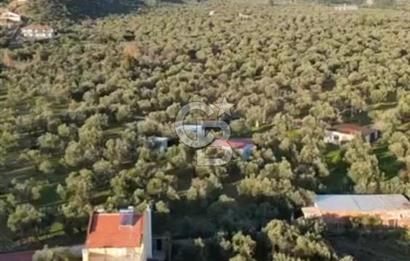 KIZILKEÇİLİ VİLLA İMARLI SATILIK ARSA