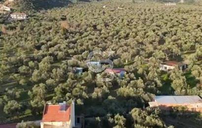 KIZILKEÇİLİ VİLLA İMARLI SATILIK ARSA