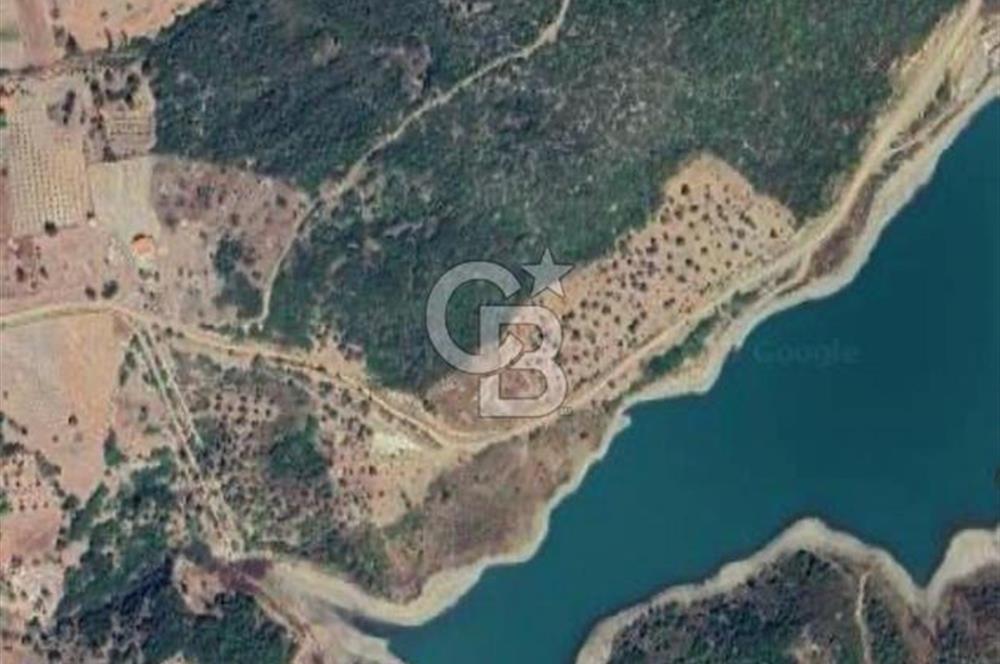 KARABURUN EĞLENHOCA'DA 7.910 m2 ZEYTİN AĞAÇLI SATILIK ARAZİ
