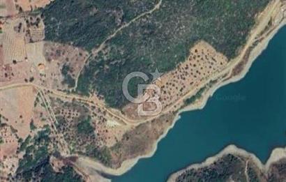 KARABURUN EĞLENHOCA'DA 7.910 m2 ZEYTİN AĞAÇLI SATILIK ARAZİ