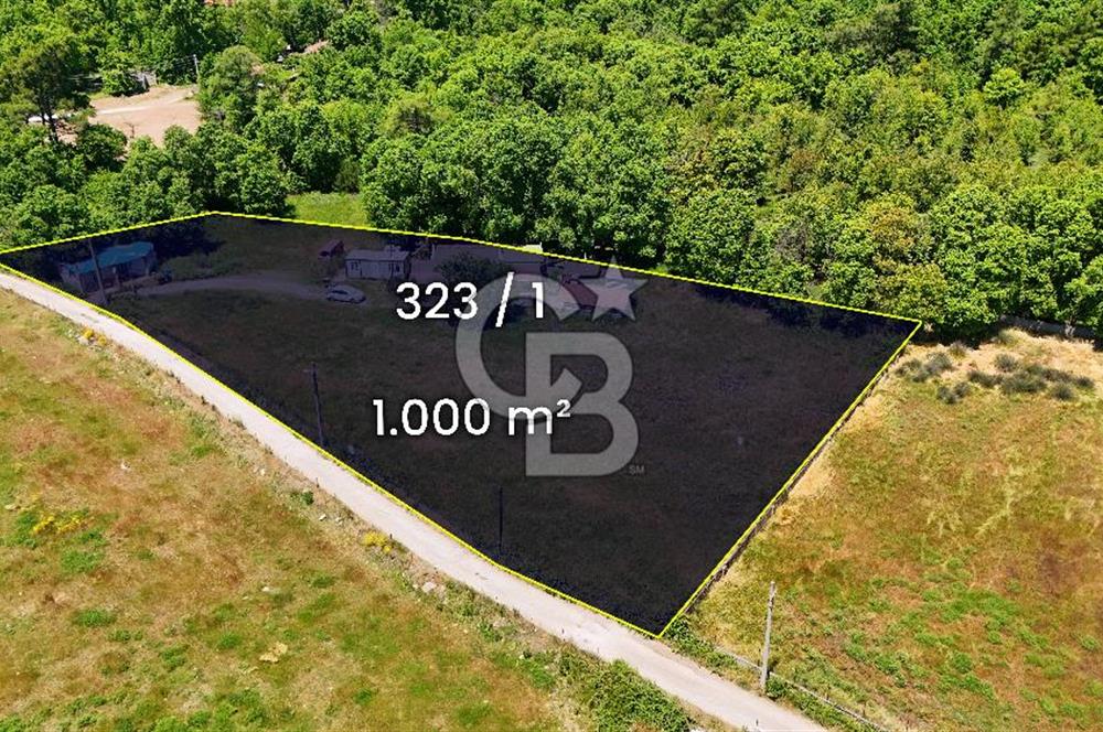 Marmaris Değirmenyanı'nda Satılık Anayola Yakın 1.000 m² Tarla