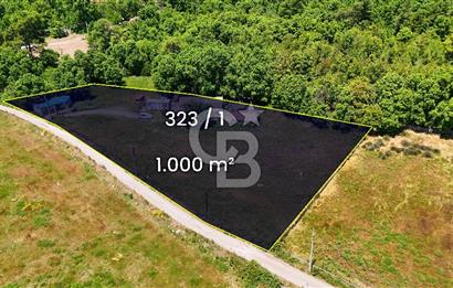 Marmaris Değirmenyanı'nda Satılık Anayola Yakın 1.000 m² Tarla