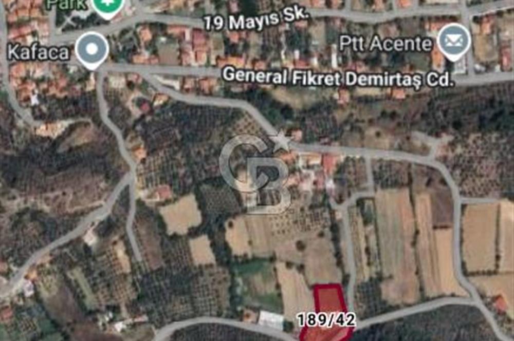 Muğla Menteşe Kafaca Mahallesi Beykaz Mevkiinde Satılık Üretim Tarlası – 3.834 m²