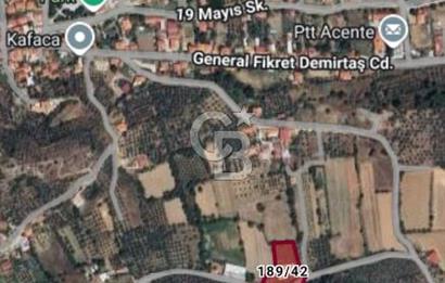 Muğla Menteşe Kafaca Mahallesi Beykaz Mevkiinde Satılık Üretim Tarlası – 3.834 m²
