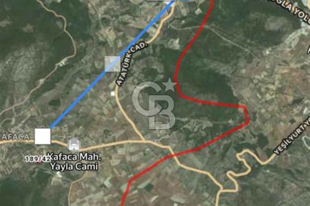 Muğla Menteşe Kafaca Mahallesi Beykaz Mevkiinde Satılık Üretim Tarlası – 3.834 m²