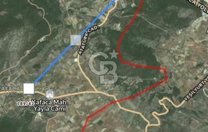 Muğla Menteşe Kafaca Mahallesi Beykaz Mevkiinde Satılık Üretim Tarlası – 3.834 m²