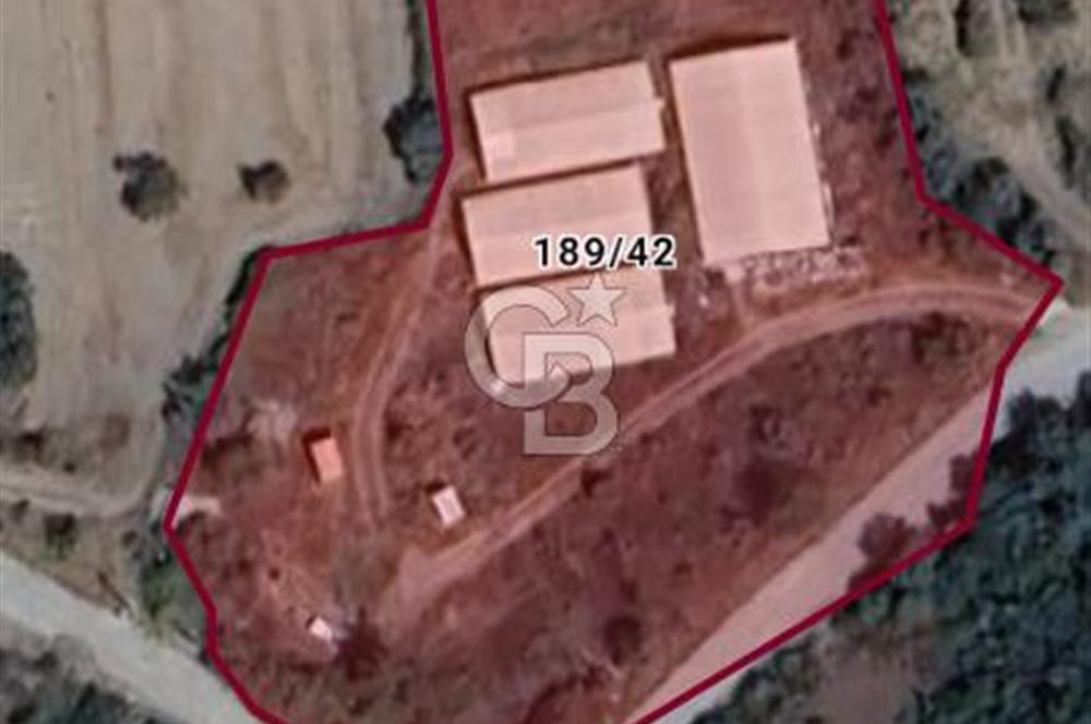 Muğla Menteşe Kafaca Mahallesi Beykaz Mevkiinde Satılık Üretim Tarlası – 3.834 m²
