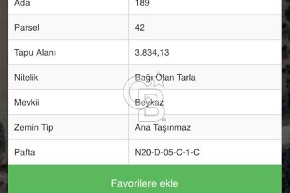 Muğla Menteşe Kafaca Mahallesi Beykaz Mevkiinde Satılık Üretim Tarlası – 3.834 m²