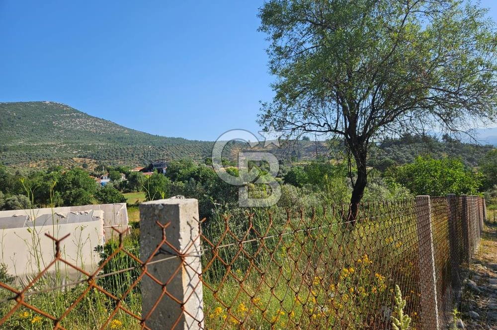 Muğla Menteşe Kafaca Mahallesi Beykaz Mevkiinde Satılık Üretim Tarlası – 3.834 m²