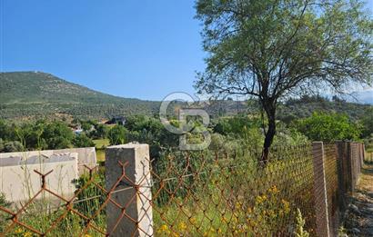 Muğla Menteşe Kafaca Mahallesi Beykaz Mevkiinde Satılık Üretim Tarlası – 3.834 m²