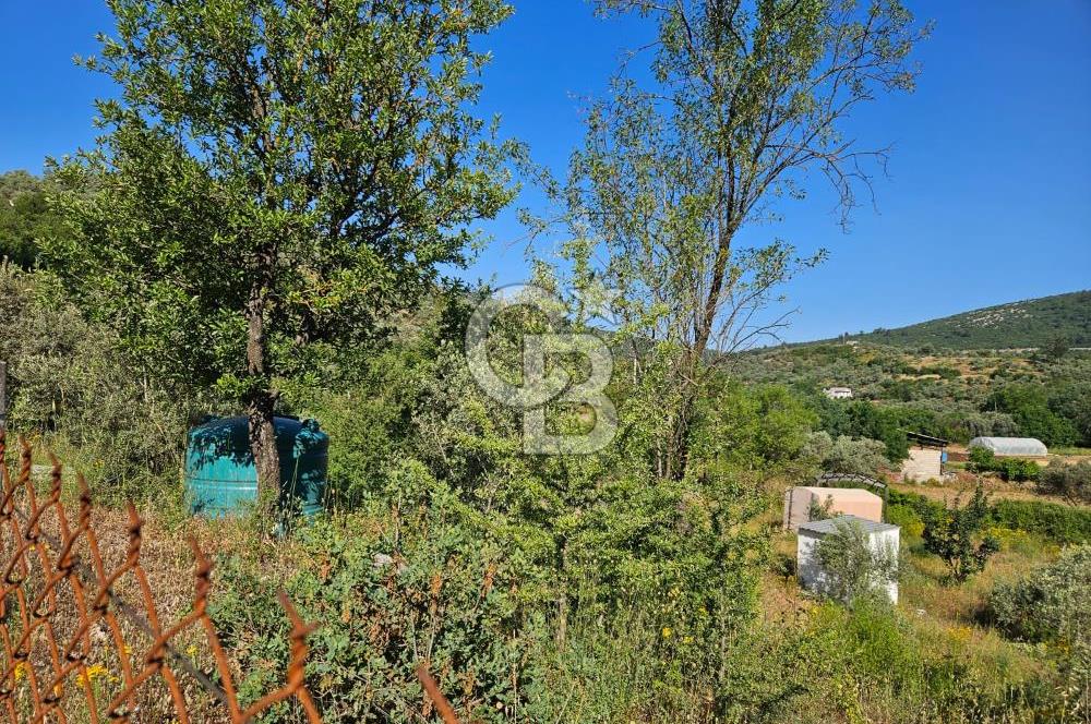 Muğla Menteşe Kafaca Mahallesi Beykaz Mevkiinde Satılık Üretim Tarlası – 3.834 m²