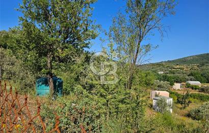 Muğla Menteşe Kafaca Mahallesi Beykaz Mevkiinde Satılık Üretim Tarlası – 3.834 m²