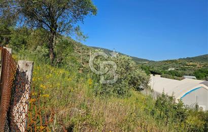 Muğla Menteşe Kafaca Mahallesi Beykaz Mevkiinde Satılık Üretim Tarlası – 3.834 m²