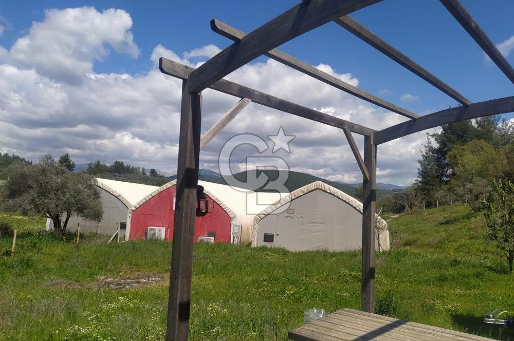 Muğla Menteşe Kafaca Mahallesi Beykaz Mevkiinde Satılık Üretim Tarlası – 3.834 m²
