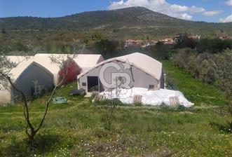 Muğla Menteşe Kafaca Mahallesi Beykaz Mevkiinde Satılık Üretim Tarlası – 3.834 m²