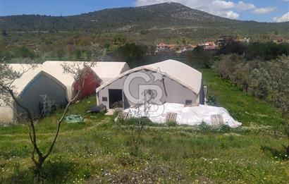 Muğla Menteşe Kafaca Mahallesi Beykaz Mevkiinde Satılık Üretim Tarlası – 3.834 m²