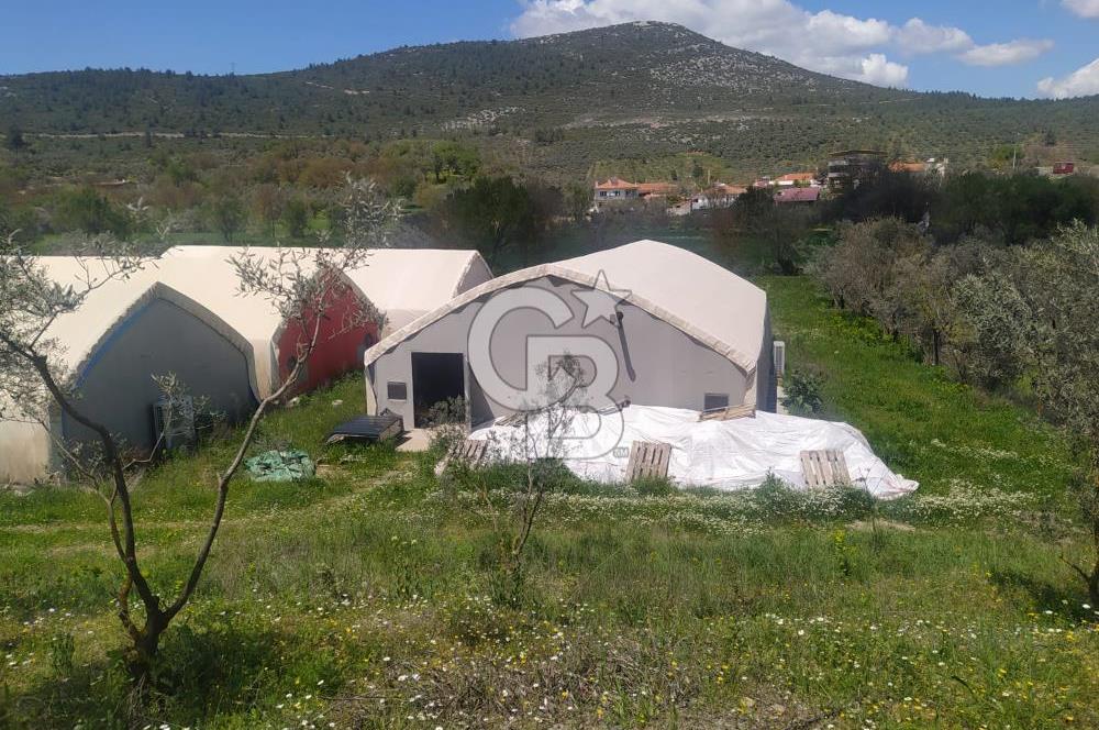 Muğla Menteşe Kafaca Mahallesi Beykaz Mevkiinde Satılık Üretim Tarlası – 3.834 m²