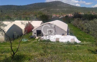 Muğla Menteşe Kafaca Mahallesi Beykaz Mevkiinde Satılık Üretim Tarlası – 3.834 m²