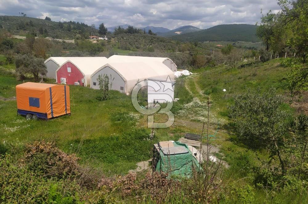 Muğla Menteşe Kafaca Mahallesi Beykaz Mevkiinde Satılık Üretim Tarlası – 3.834 m²