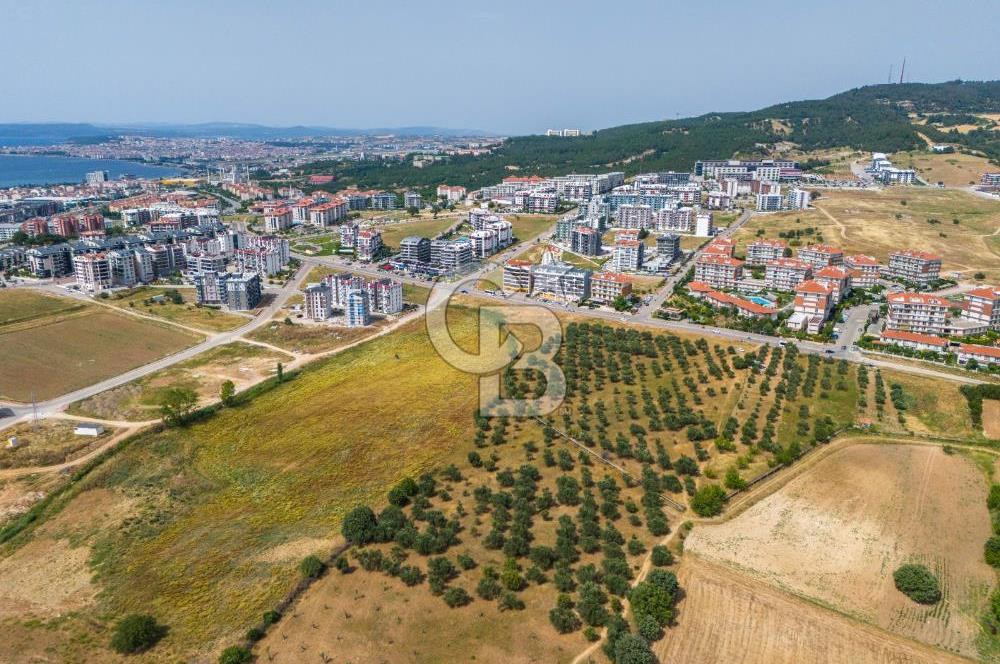 ŞEHİR MERKEZİNDE EN KIYMETLİ, EN KÂRLI,EN BÜYÜK YATIRIMLIK ARAZİ