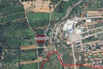 GÜZELBAHÇE YELKİ'DE SATILIK FIRSAT ZEYTİNLİK
