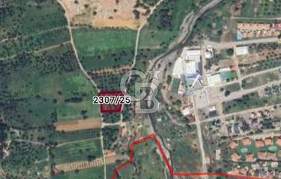 GÜZELBAHÇE YELKİ'DE SATILIK FIRSAT ZEYTİNLİK