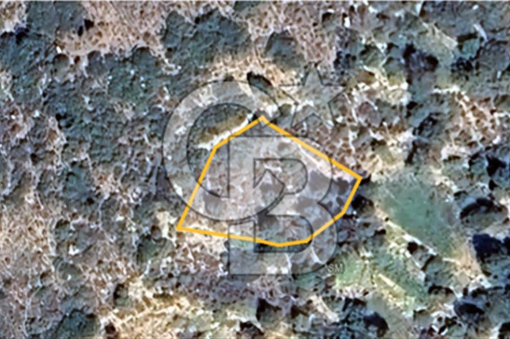 KOCAELİ KÖRFEZ İLÇESİ SEVİNDİKLİ BÖLGESİNDE 850 M2 KELEPİR ARSA