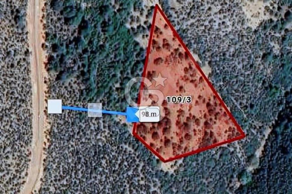 Bursa’da Kamp ve hobi amaçlı 12 dönüm orman