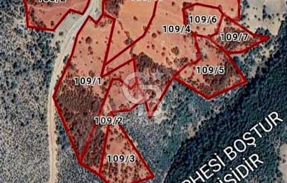 Bursa’da Kamp ve hobi amaçlı 12 dönüm orman