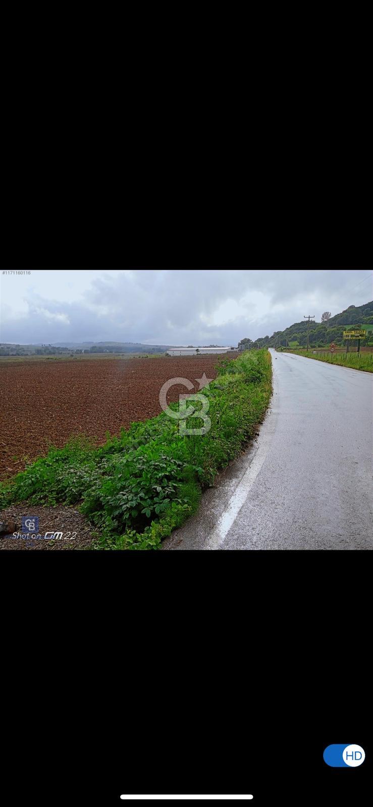 KOCAELİ KÖRFEZ İLÇESİ SEVİNDİKLİ DE ASFALT YOLA CEPHE TARLA
