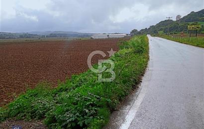 KOCAELİ KÖRFEZ İLÇESİ SEVİNDİKLİ DE ASFALT YOLA CEPHE TARLA