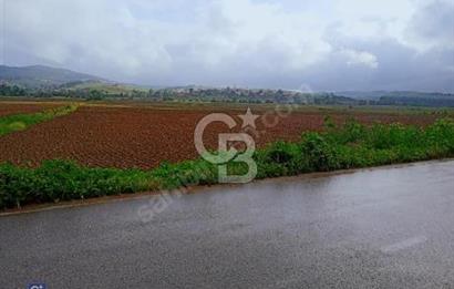 KOCAELİ KÖRFEZ İLÇESİ SEVİNDİKLİ DE ASFALT YOLA CEPHE TARLA