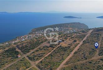 ÇANDARLI EYKODA SATILIK 1/2 YARIM PARSEL 162 M2 ARSA