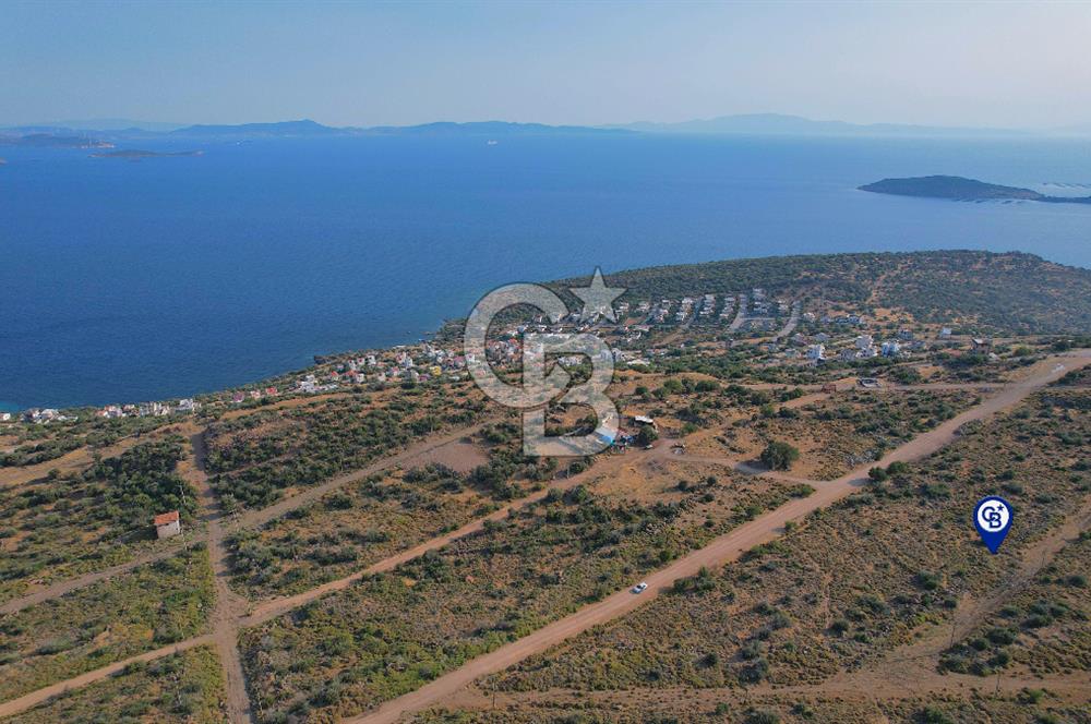 ÇANDARLI EYKODA SATILIK 1/2 YARIM PARSEL 162 M2 ARSA