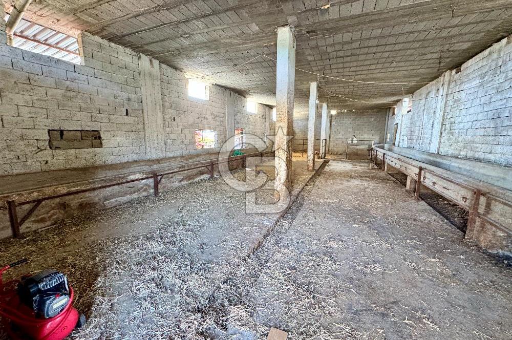 Akdeniz Civanyaylağı Mahallesinde Satılık Ahır Ev ve Arsası